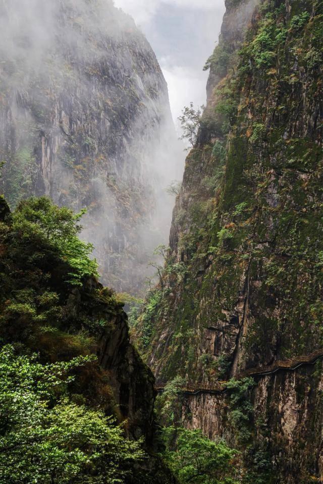 逃离荒凉之地